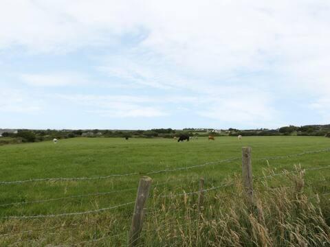 Ty Rhos, Farm Stay, Sleeps 4, Rhoshirwaun 2 Miles From アベルダロン エクステリア 写真