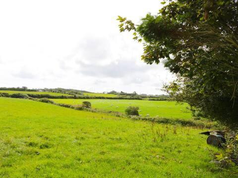 Ty Rhos, Farm Stay, Sleeps 4, Rhoshirwaun 2 Miles From アベルダロン エクステリア 写真